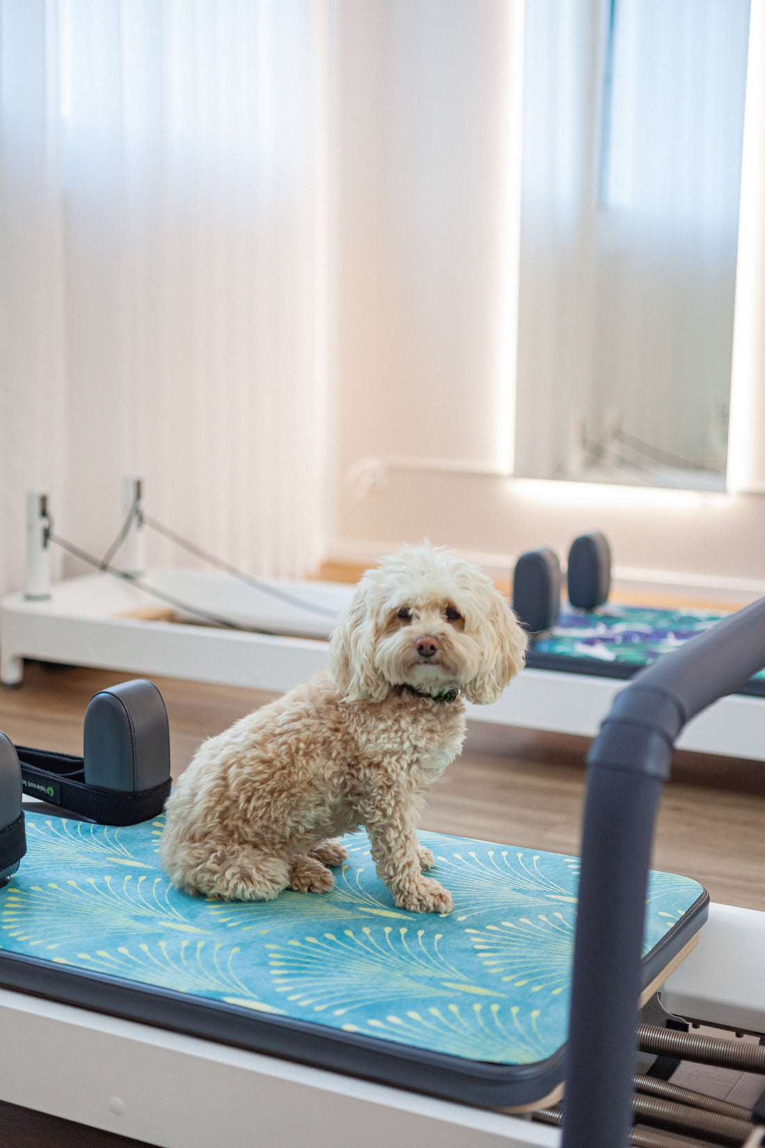 🧘Die perfekten Geschenke für Reformer Pilates Fans 🧘